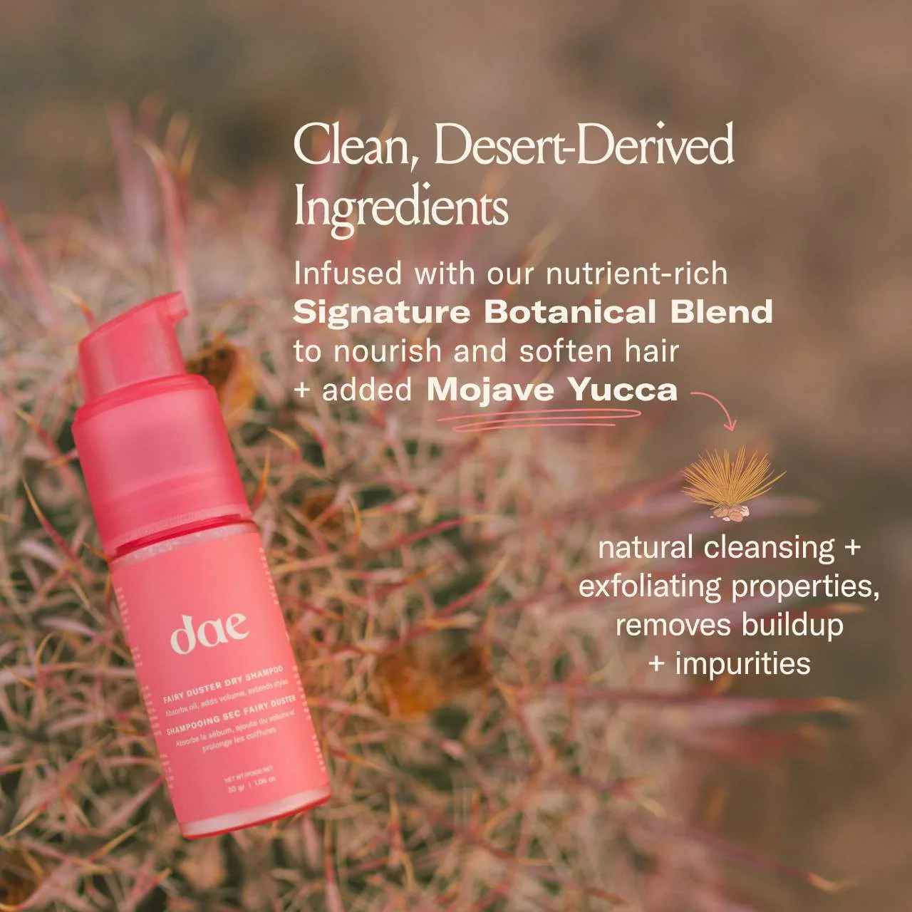 dae Fairy Duster Volumizing Dry Shampoo Powder - Image 3
